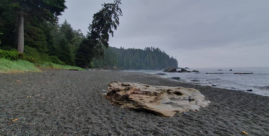 Tide Pools and Rock Formations