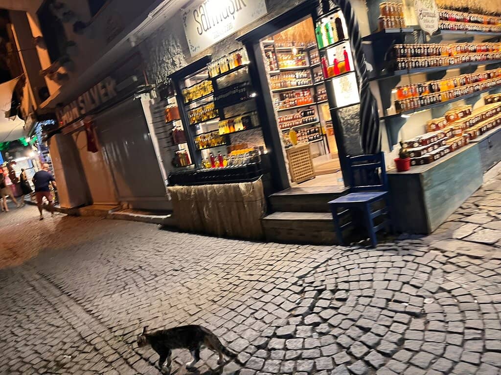 Artisanal Fruit Wines