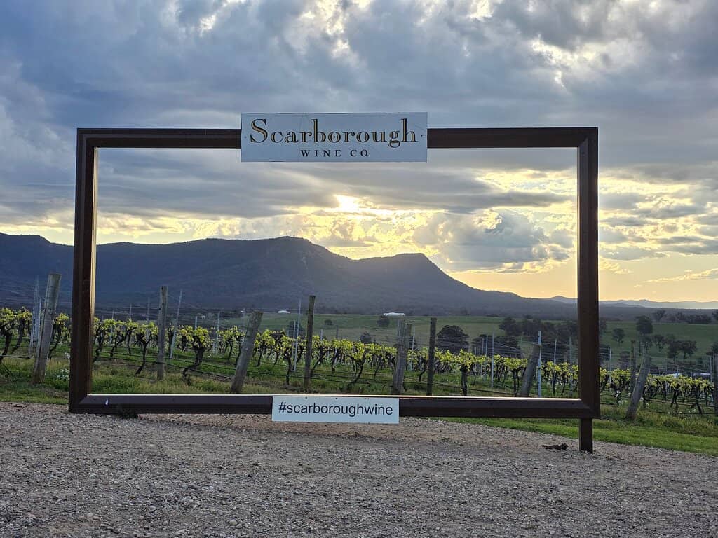 Offshoot Canned Wines