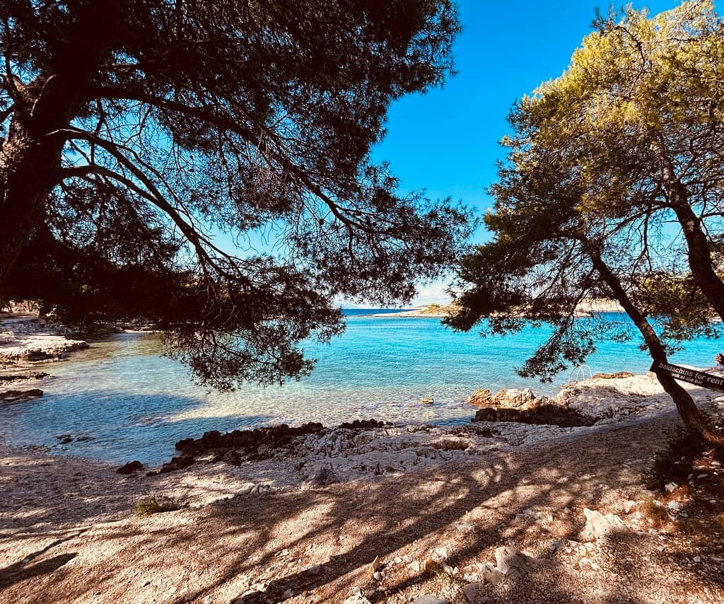 Tranquil Pebble Beach