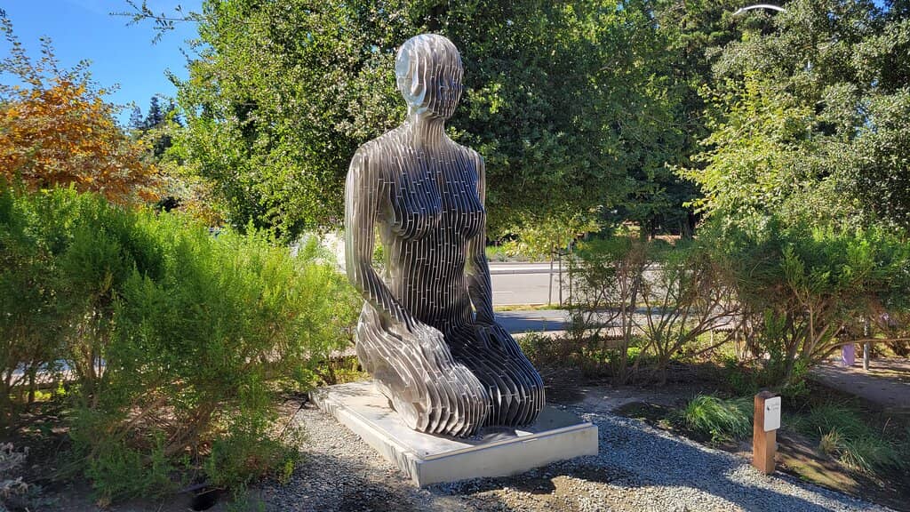 Google Store & Product Demos