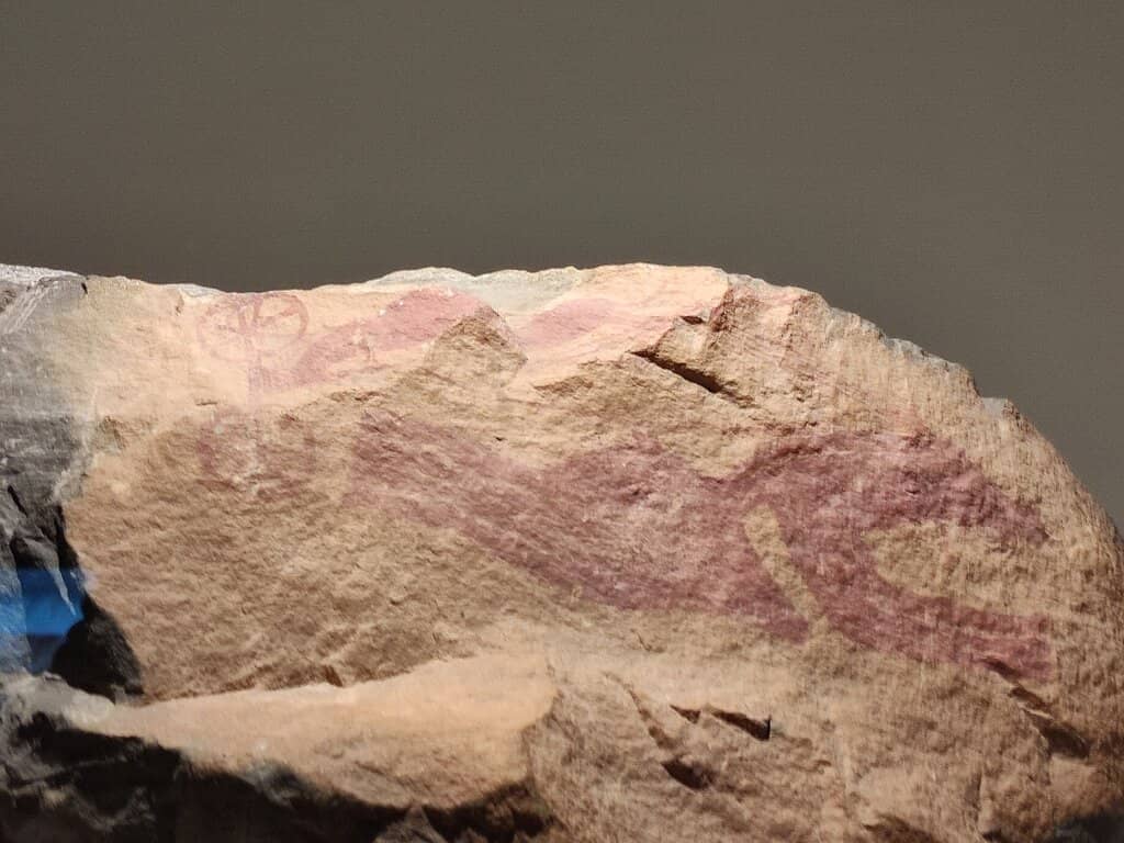 Prehistoric & Ethnographic Collections