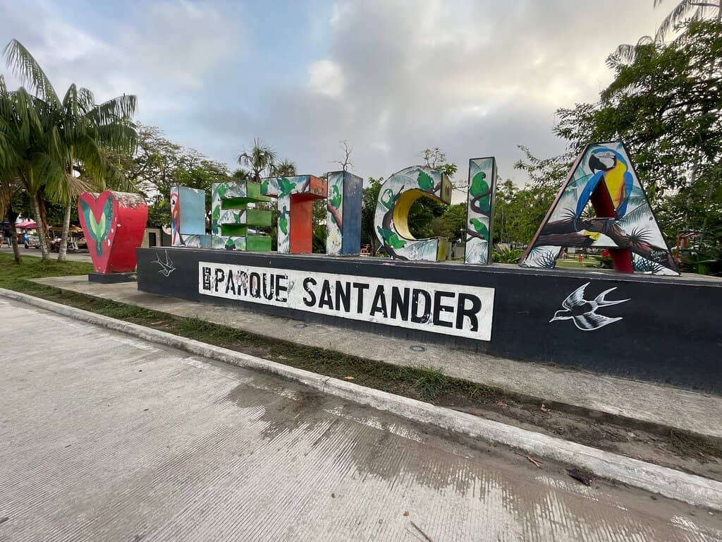 Local Vibe & Vendors