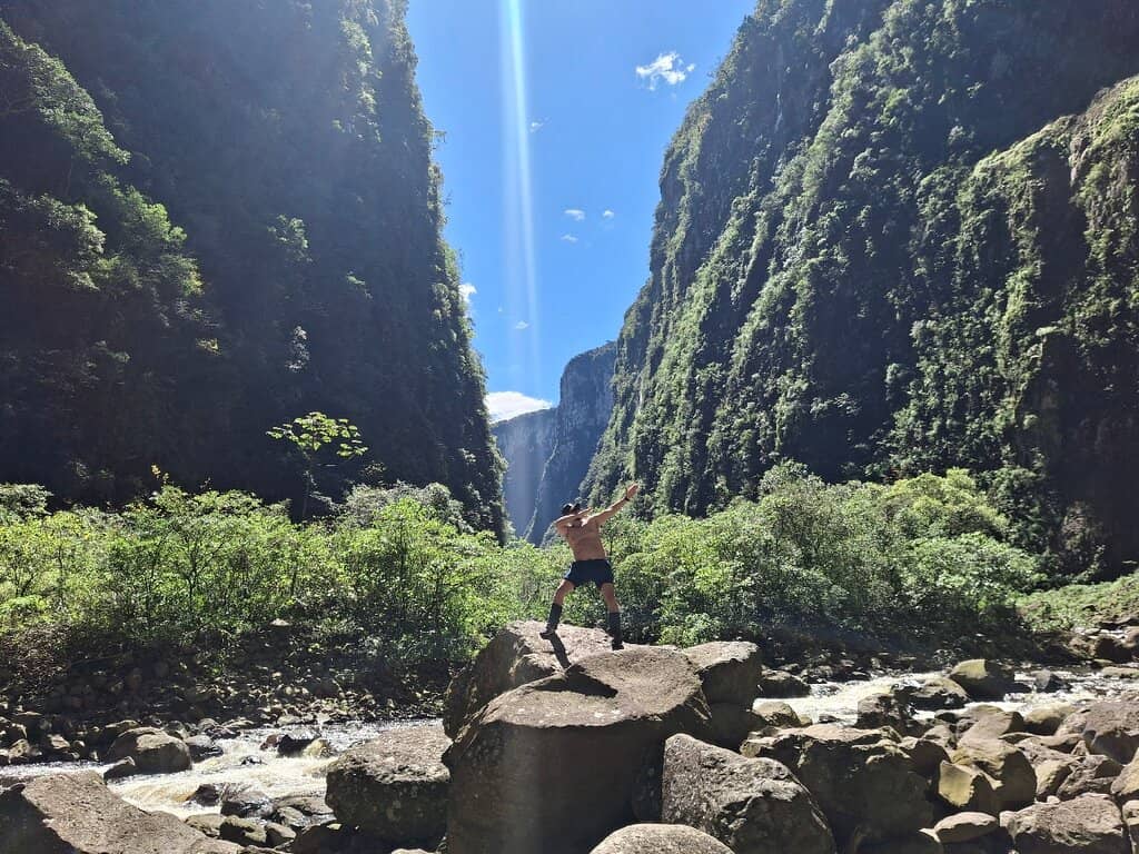 Exotic Flora and Fauna