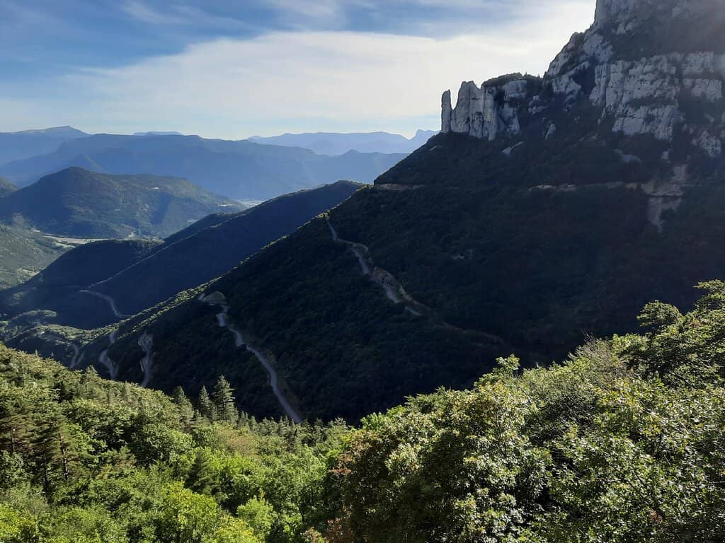 Vertical photo