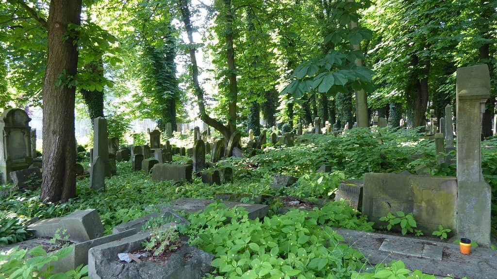 Franz Kafka's Tomb