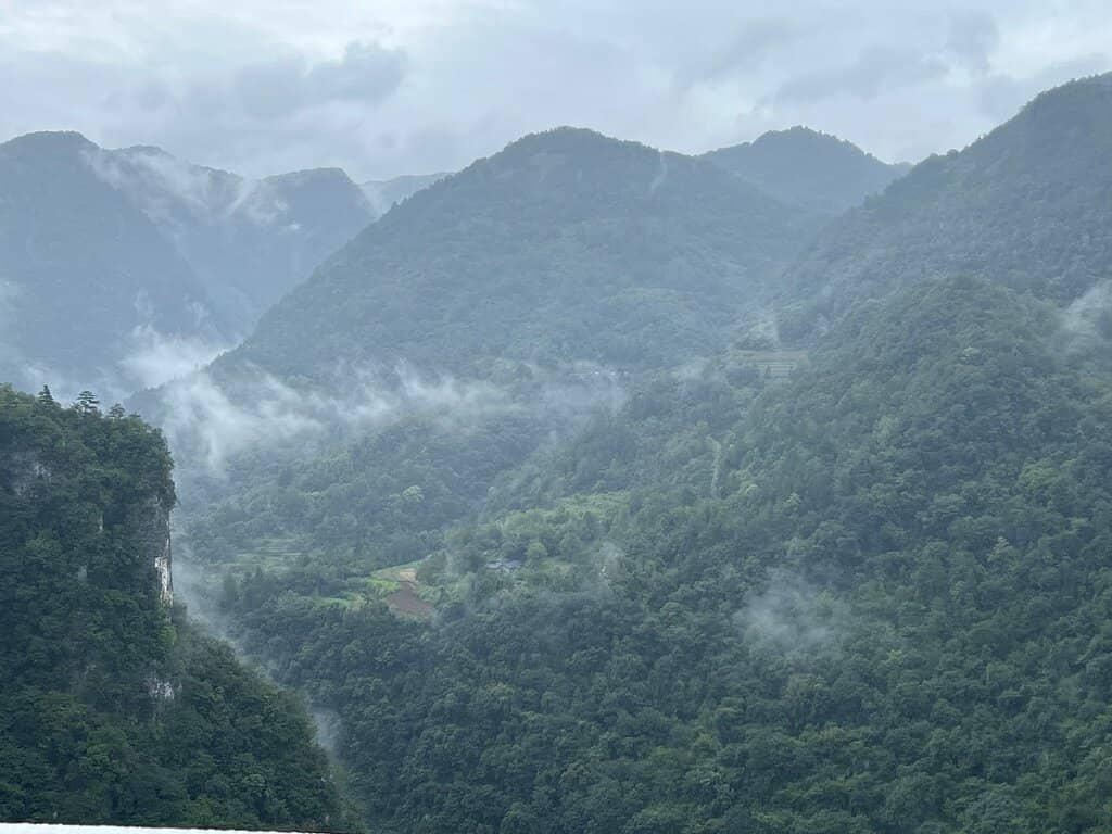 Zip-lining Adventure