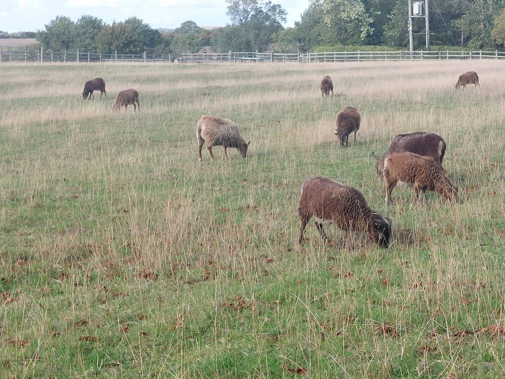 Scenic Cotswolds Ride