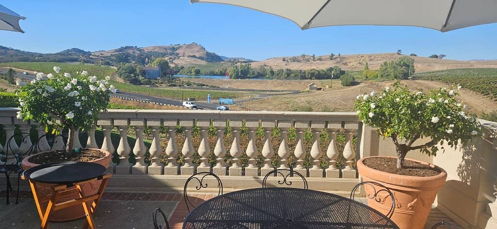 Bubbles and Bites Experience