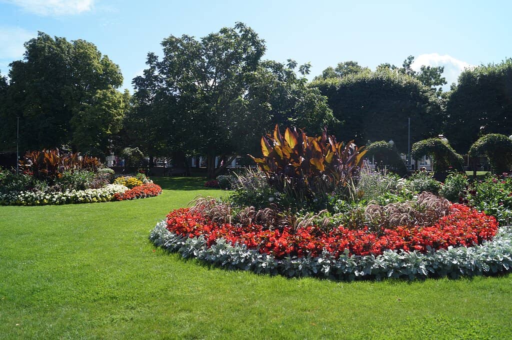Art Nouveau Architecture