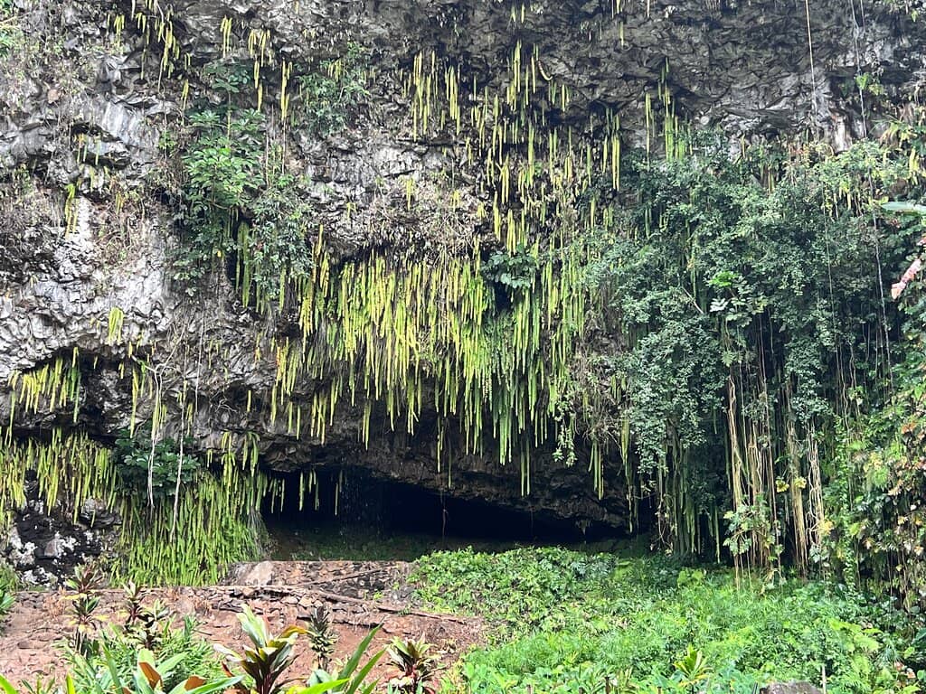 Wailua River Boat Cruise