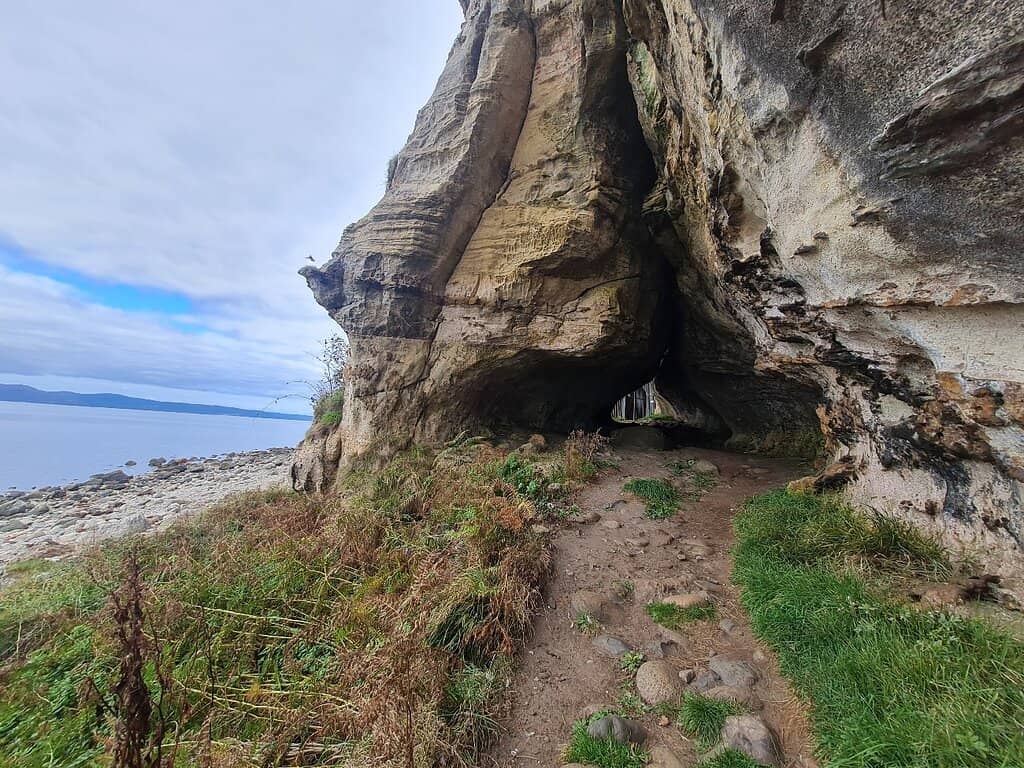 Coastal Views & Wildlife