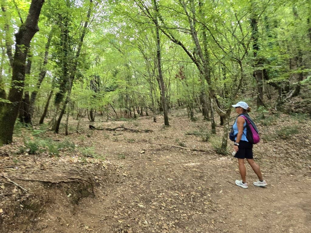 Snorkeling in Aquamarine Waters
