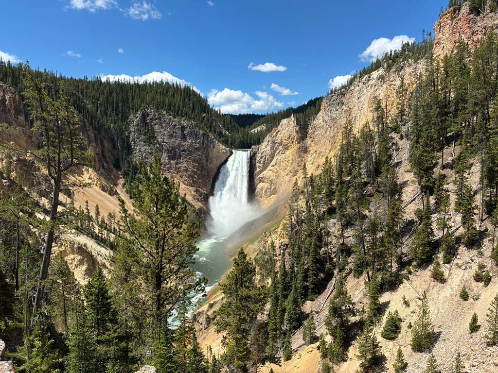 Vertical photo