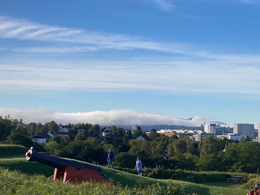 Panoramic City Views