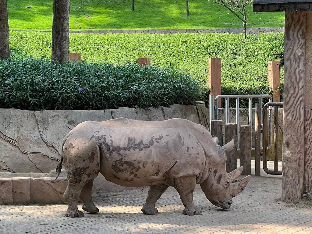 Interactive Bird Aviary