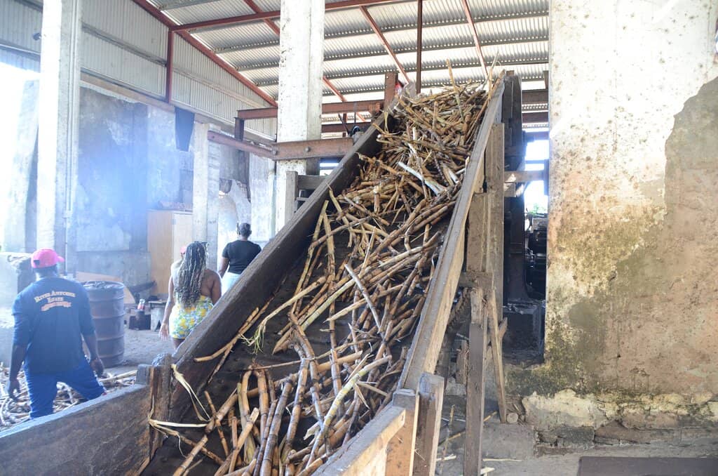 Traditional Rum Production