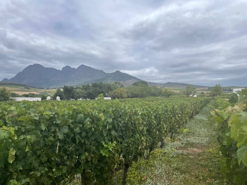 The Magnificent Gardens