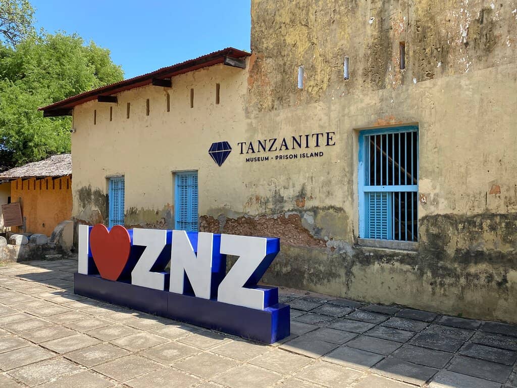 Snorkeling and Marine Life