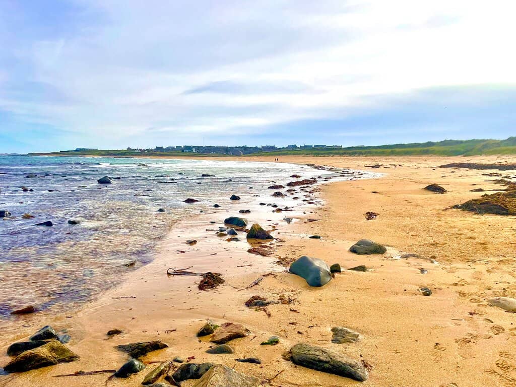 Birdwatcher's Paradise