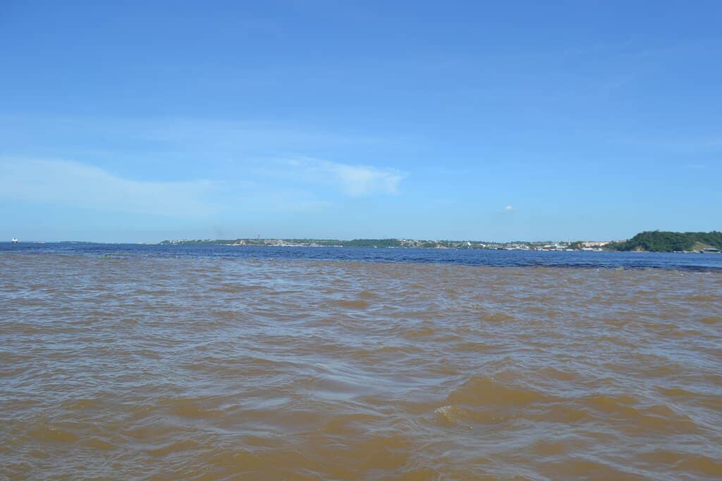 Temperature Contrast