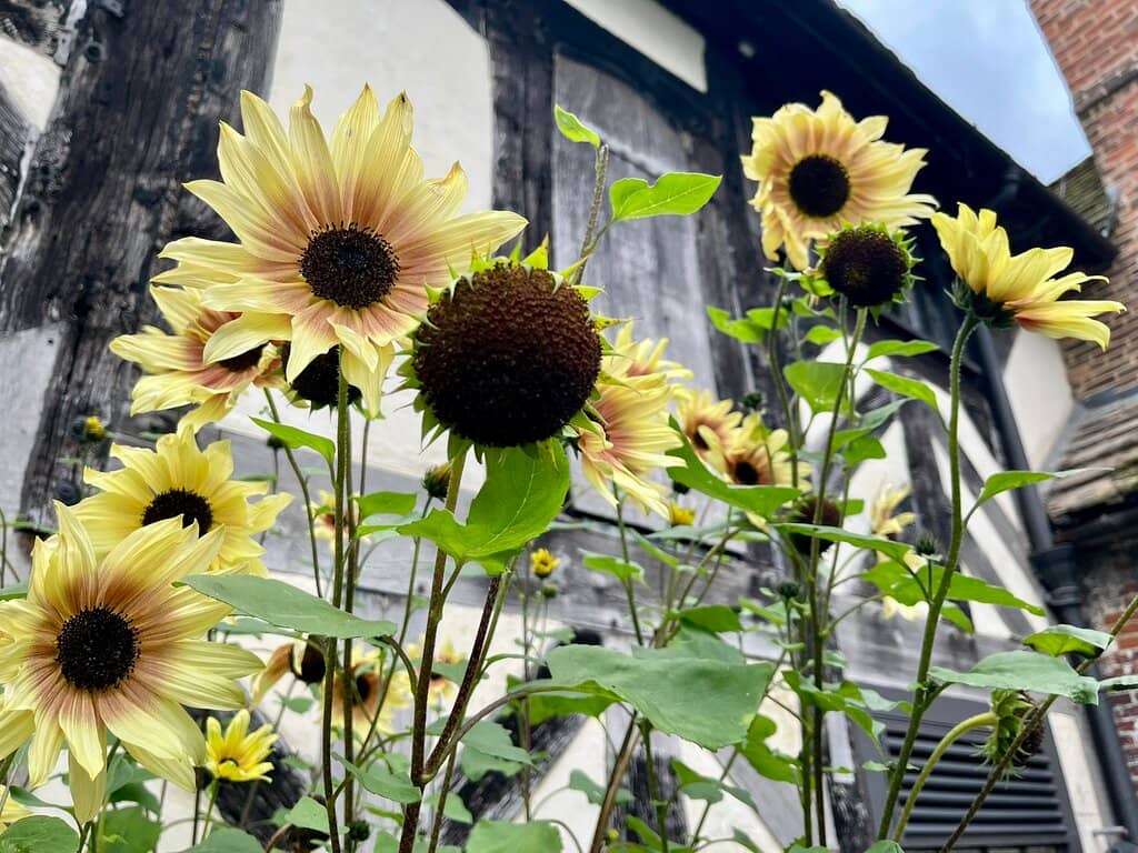 Vertical photo