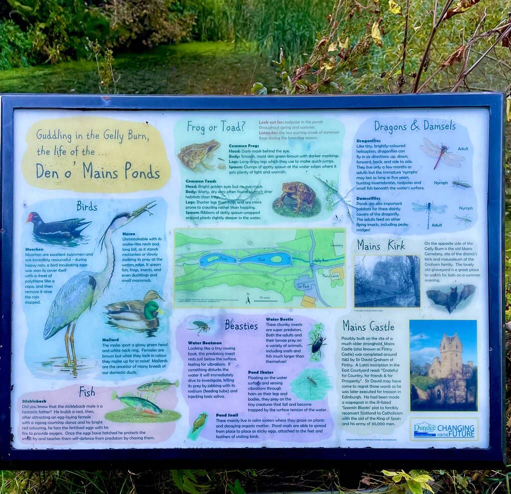 Caird Park Golf Course