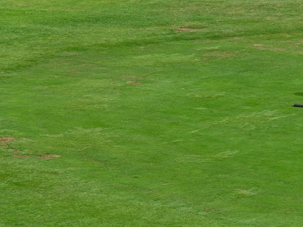 Exclusive Residential Setting