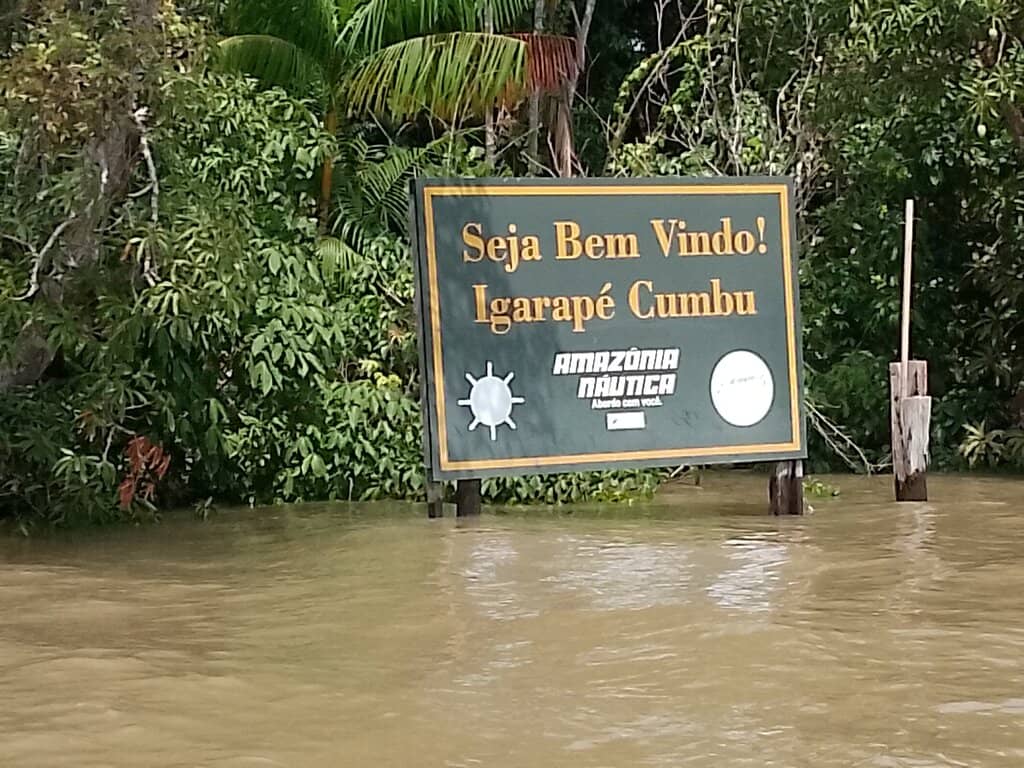 Amazon Forest Experience