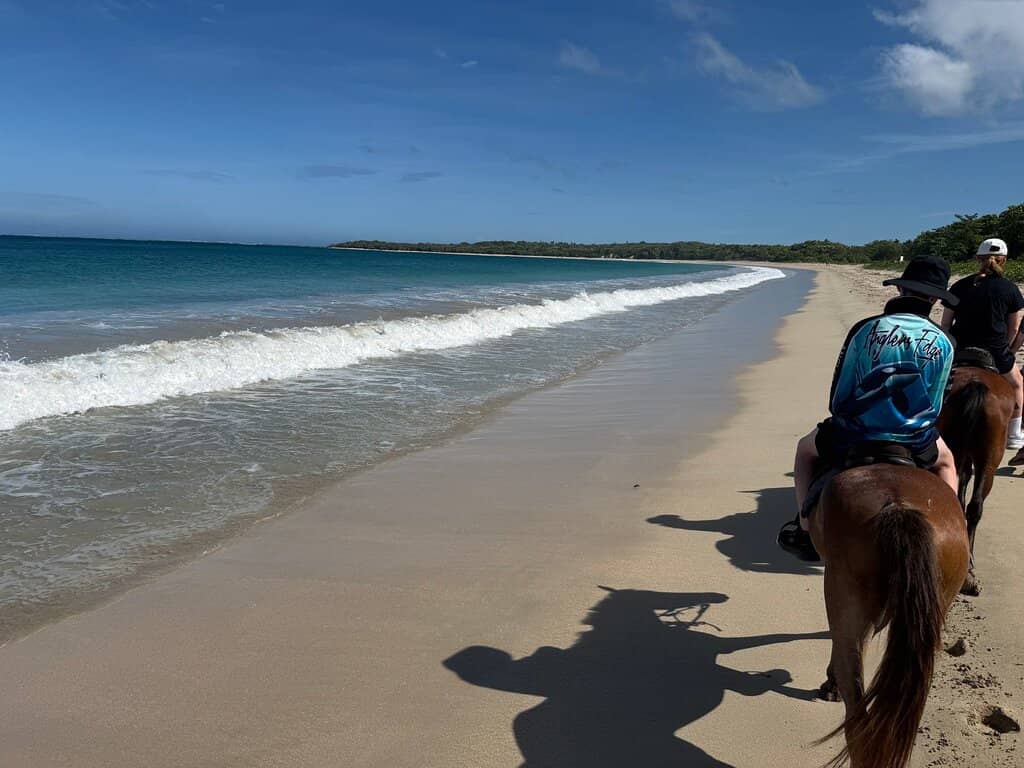 Horseback Riding Adventures