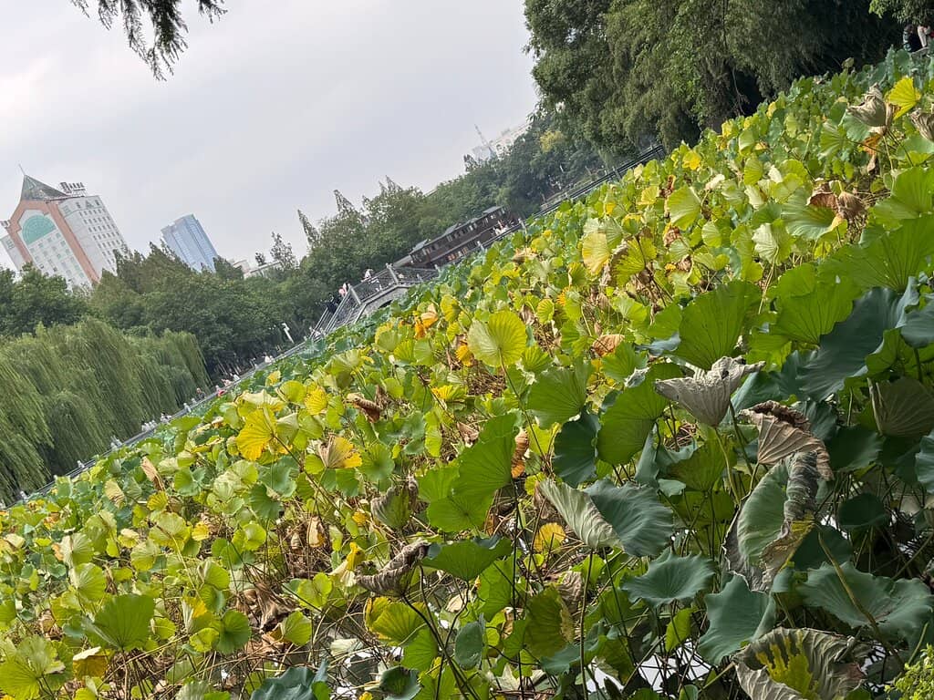 Historical Significance