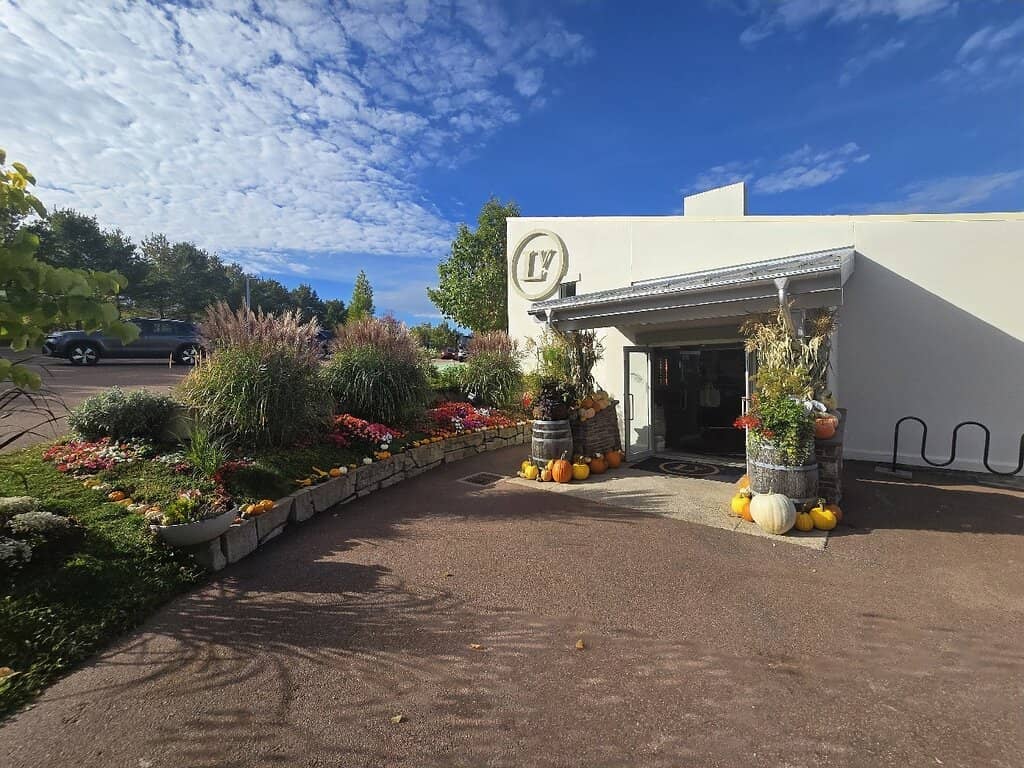 Wine Tasting Experience