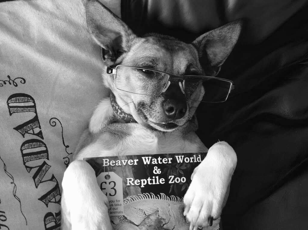 West End Touring Productions