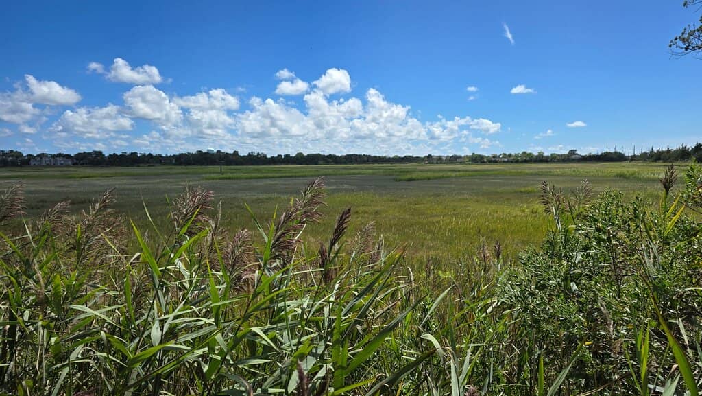 Revolution Rail Co. Adventure