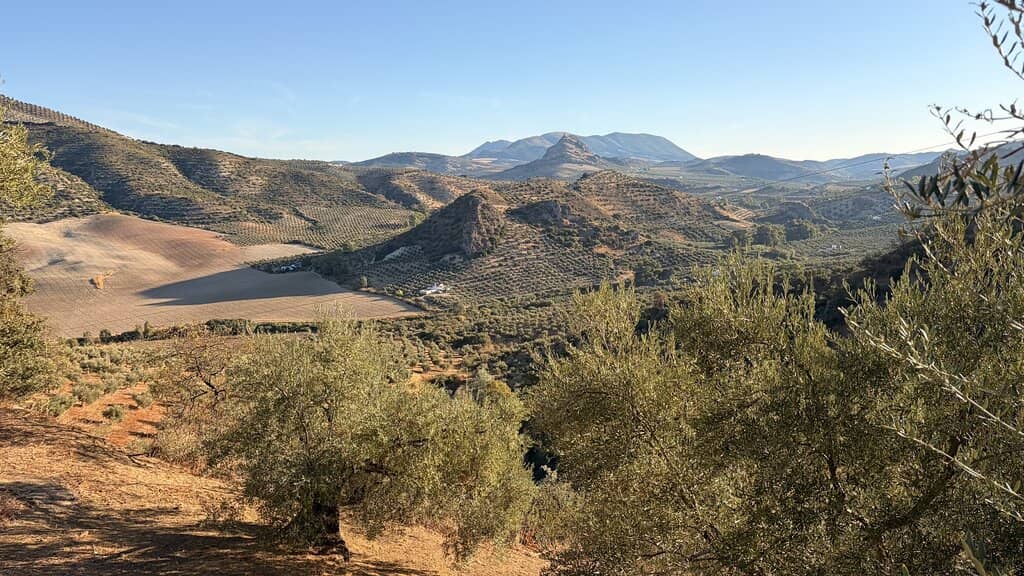 The Illuminated Tunnels