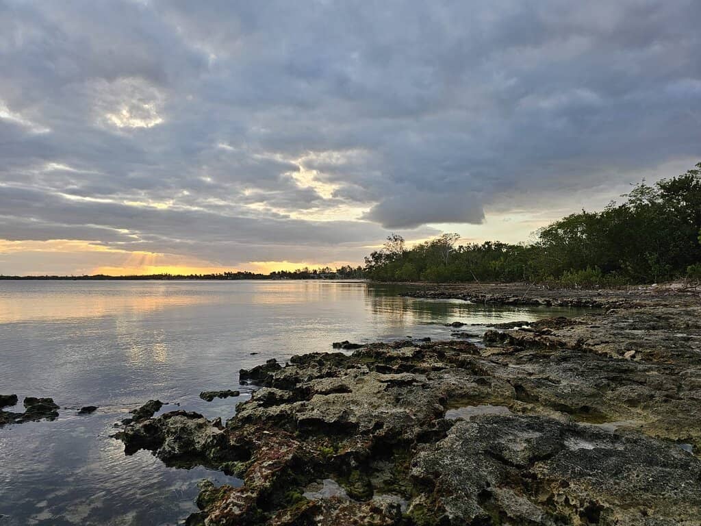 Pristine Sandy Shores