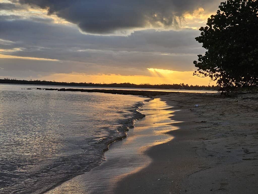 Dominican Republic's Coastal Charm