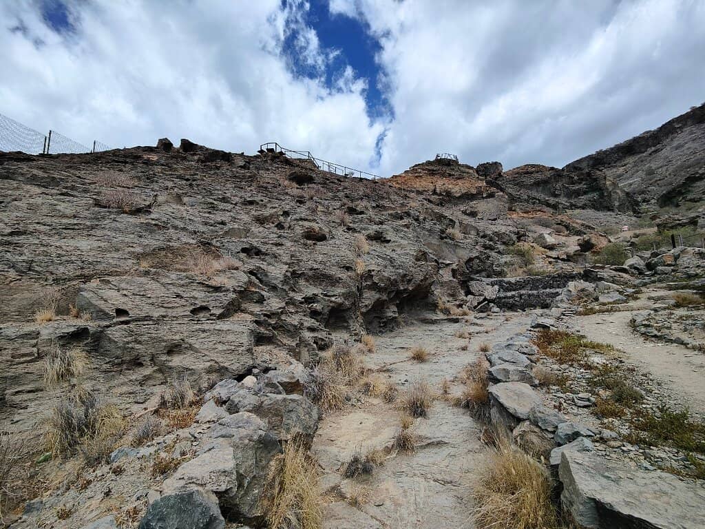 Scenic Ocean and Harbor Views