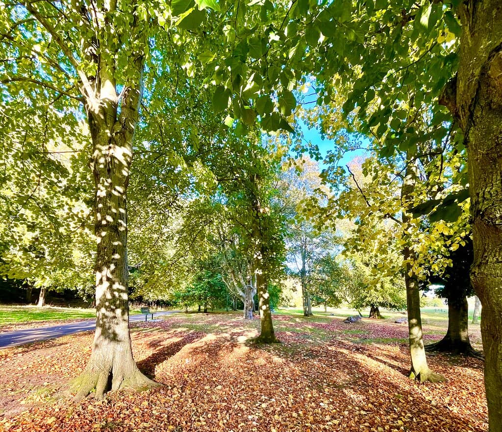 Beautiful Gardens