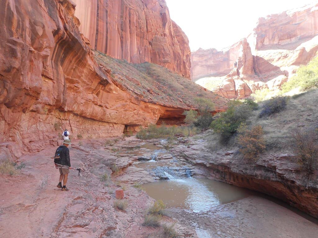 Camping Under the Stars