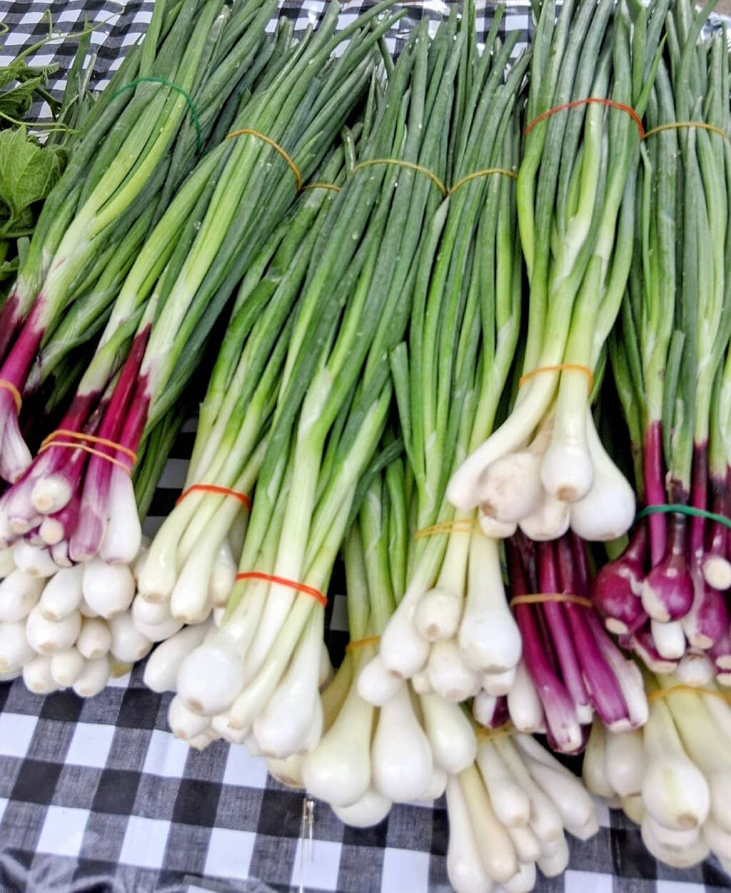 Delicious Street Food
