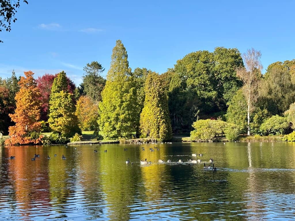 Capability Brown's Influence