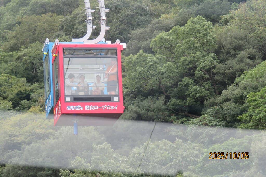 Cherry Blossom Viewing Area