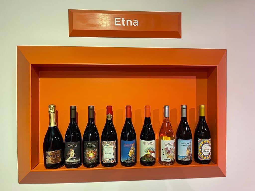 Wine Tasting & Food Pairings