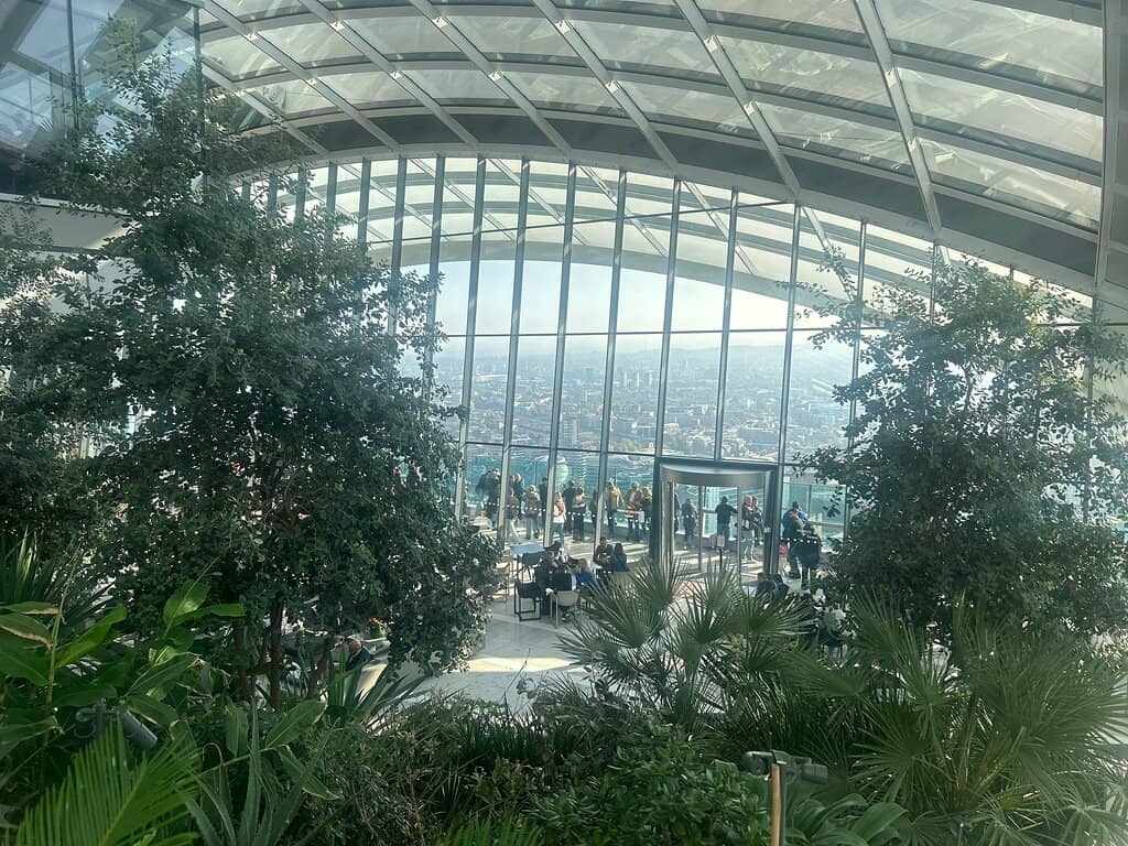 Lush Indoor Garden Oasis