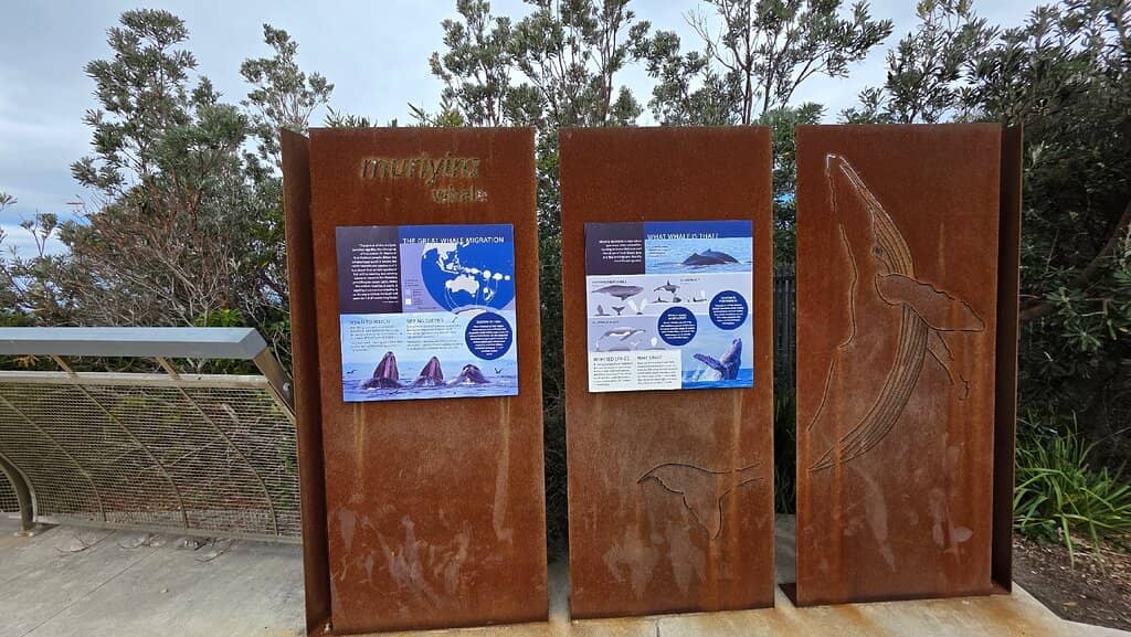 Whale Watching Platform