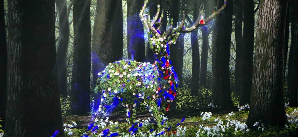 Interactive Art Installations