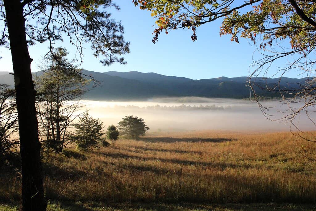 Cades Cove Loop Road