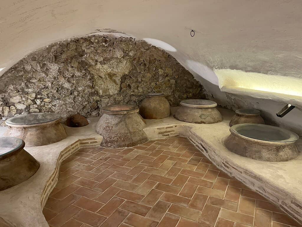 Exquisite Horse Costumes