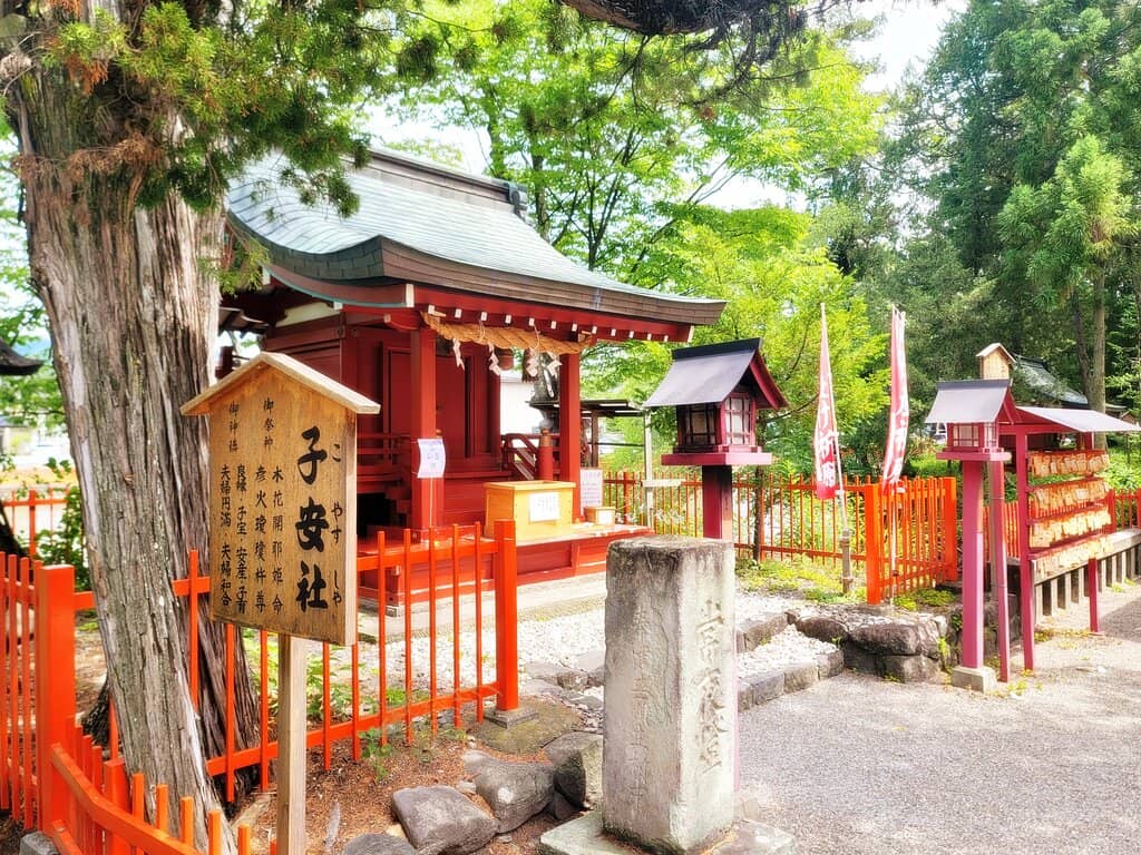 Vibrant Red Torii Gates